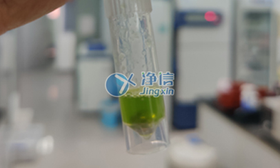 行星式球磨機研磨番茄葉片實驗|浙江大學農(nóng)學院用于后續(xù)提RNA操作