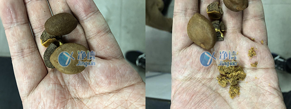 1651142066349644.jpg 33.jpg