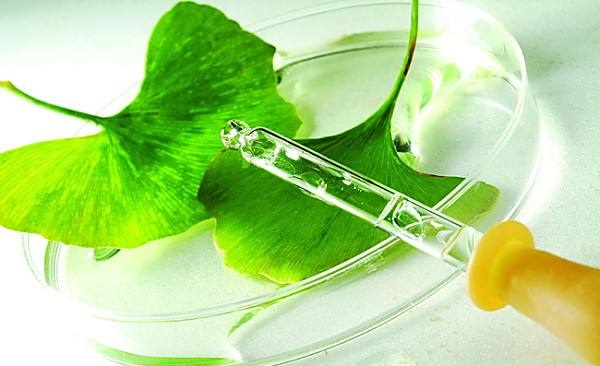 冷凍研磨儀哪個品牌好?